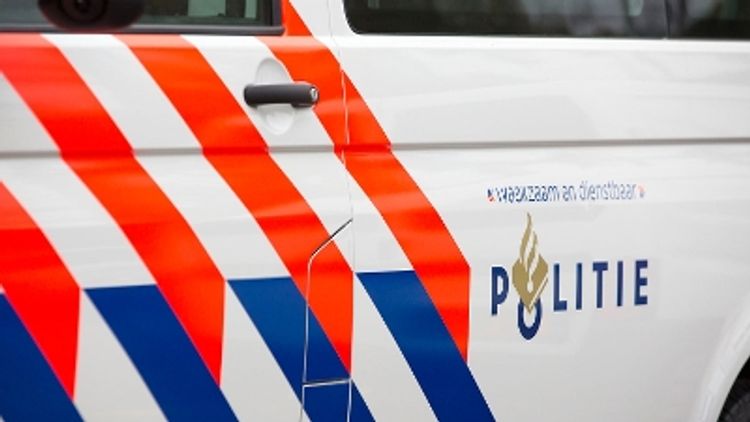 Rijswijk - Twee personen aangehouden na aantreffen dode hond bij boom Rijswijk - Twee personen aangehouden na aantreffen dode hond bij boom